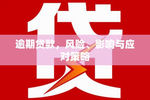 沈河逾期贷款，风险、影响与应对策略