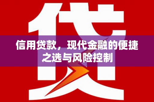 沈河信用贷款，现代金融的便捷之选与风险控制