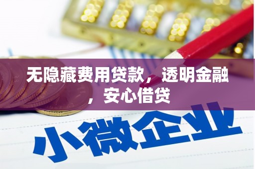 沈河无隐藏费用贷款，透明金融，安心借贷