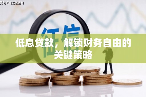 沈河低息贷款，解锁财务自由的关键策略