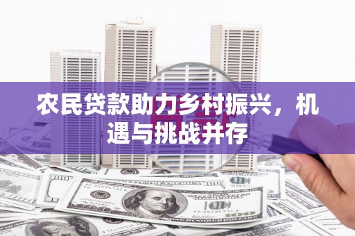 沈河农民贷款助力乡村振兴，机遇与挑战并存
