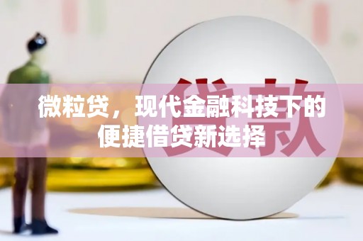 沈河微粒贷，现代金融科技下的便捷借贷新选择