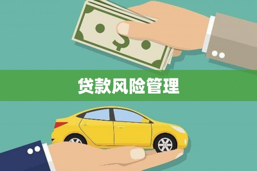 沈河贷款风险管理