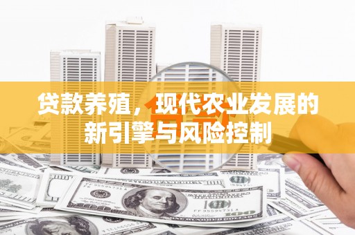 沈河贷款养殖，现代农业发展的新引擎与风险控制
