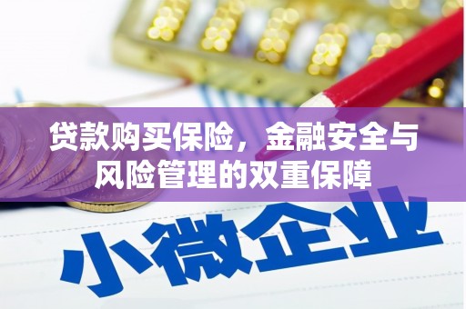 沈河贷款购买保险，金融安全与风险管理的双重保障