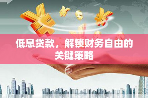 沈河低息贷款，解锁财务自由的关键策略