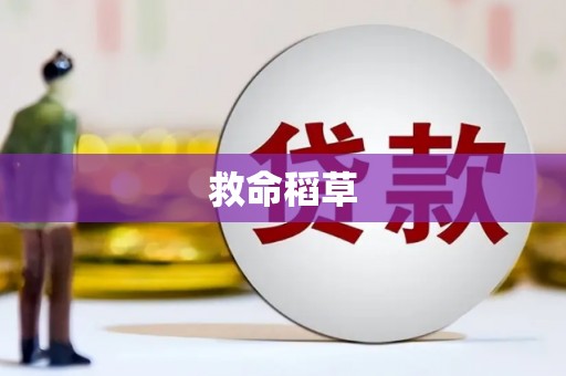 沈河救命稻草