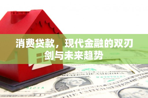 沈河消费贷款，现代金融的双刃剑与未来趋势