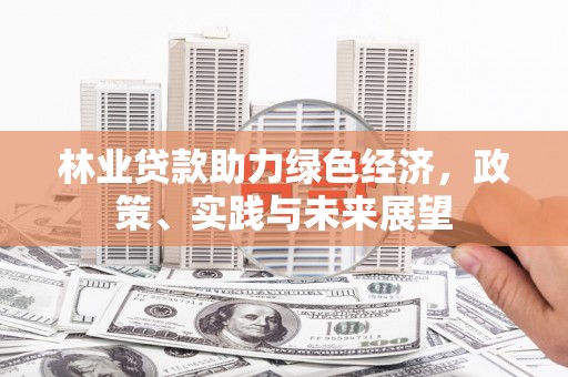 沈河林业贷款助力绿色经济，政策、实践与未来展望
