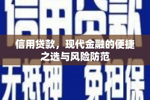 沈河信用贷款，现代金融的便捷之选与风险防范
