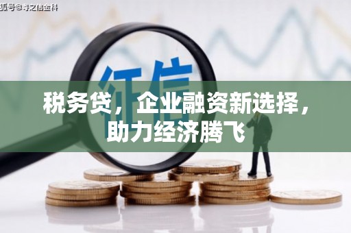 沈河税务贷，企业融资新选择，助力经济腾飞