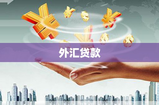 沈河外汇贷款
