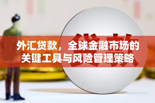 沈河外汇贷款，全球金融市场的关键工具与风险管理策略