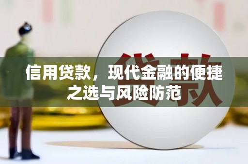沈河信用贷款，现代金融的便捷之选与风险防范