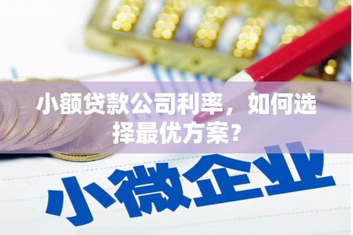 沈河小额贷款公司利率，如何选择最优方案？