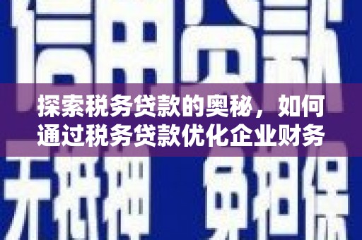沈河探索税务贷款的奥秘，如何通过税务贷款优化企业财务