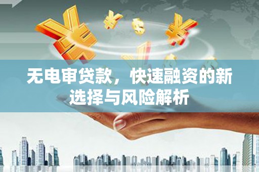 沈河无电审贷款，快速融资的新选择与风险解析