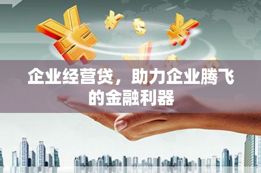 沈河企业经营贷，助力企业腾飞的金融利器