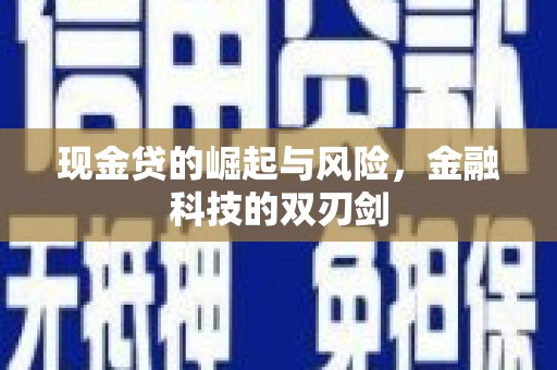 沈河现金贷的崛起与风险，金融科技的双刃剑