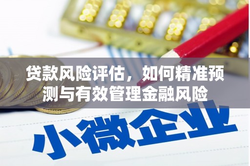 沈河贷款风险评估，如何精准预测与有效管理金融风险