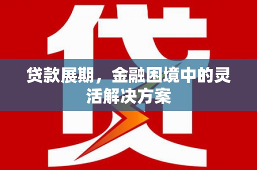 沈河贷款展期，金融困境中的灵活解决方案