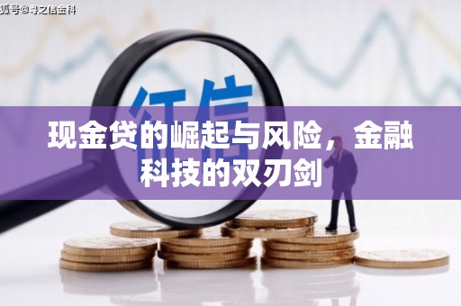 沈河现金贷的崛起与风险，金融科技的双刃剑