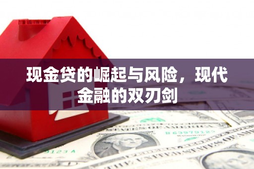 沈河现金贷的崛起与风险，现代金融的双刃剑