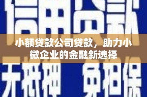 沈河小额贷款公司贷款，助力小微企业的金融新选择