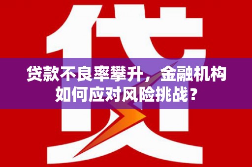沈河贷款不良率攀升，金融机构如何应对风险挑战？