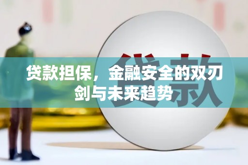 沈河贷款担保，金融安全的双刃剑与未来趋势