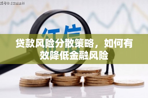 沈河贷款风险分散策略，如何有效降低金融风险