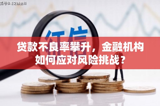 沈河贷款不良率攀升，金融机构如何应对风险挑战？