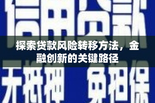 沈河探索贷款风险转移方法，金融创新的关键路径