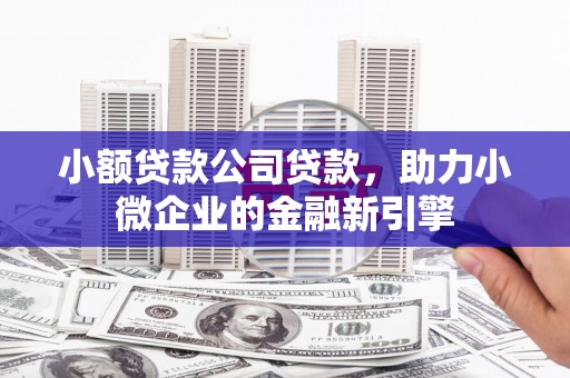 沈河小额贷款公司贷款，助力小微企业的金融新引擎