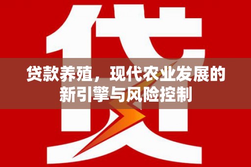沈河贷款养殖，现代农业发展的新引擎与风险控制