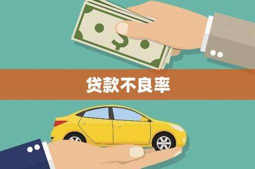 沈河贷款不良率