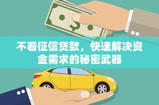 沈河不看征信贷款，快速解决资金需求的秘密武器