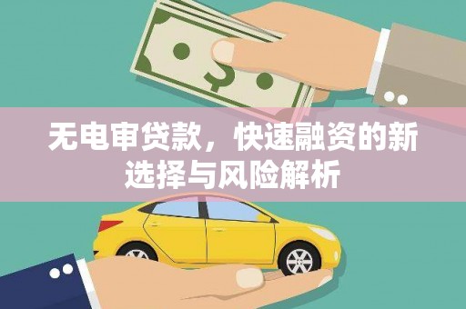 沈河无电审贷款，快速融资的新选择与风险解析