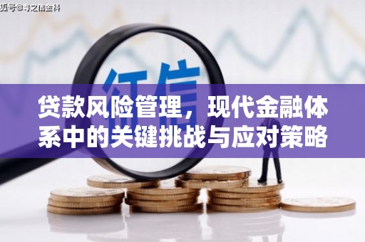 沈河贷款风险管理，现代金融体系中的关键挑战与应对策略