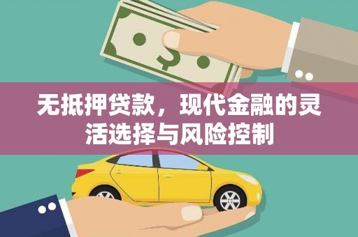 沈河无抵押贷款，现代金融的灵活选择与风险控制