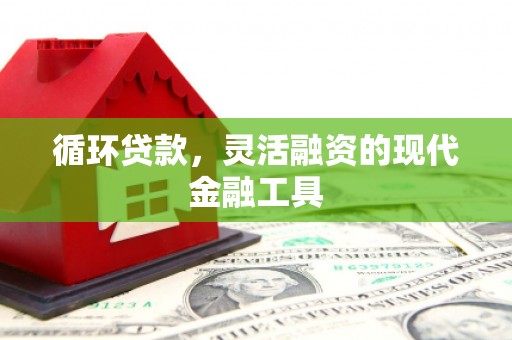 沈河循环贷款，灵活融资的现代金融工具