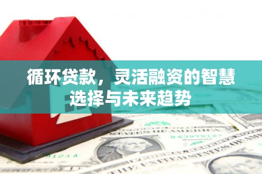 沈河循环贷款，灵活融资的智慧选择与未来趋势