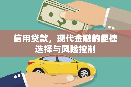 沈河信用贷款，现代金融的便捷选择与风险控制