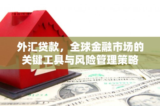 沈河外汇贷款，全球金融市场的关键工具与风险管理策略