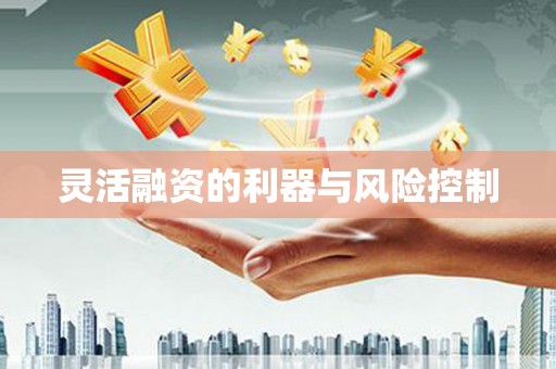 沈河灵活融资的利器与风险控制