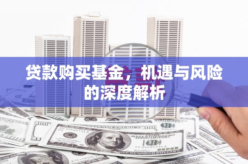 沈河贷款购买基金，机遇与风险的深度解析