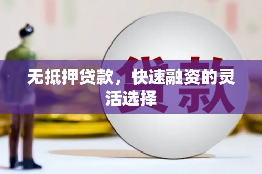 沈河无抵押贷款，快速融资的灵活选择