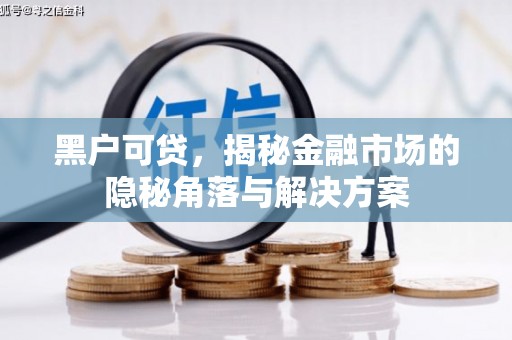 沈河黑户可贷，揭秘金融市场的隐秘角落与解决方案