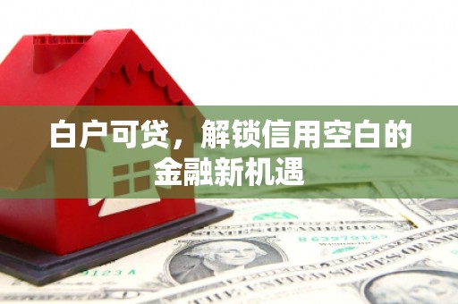 沈河白户可贷，解锁信用空白的金融新机遇