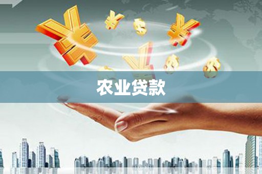 沈河农业贷款